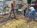 Studierende mit Werkzeug im Beet