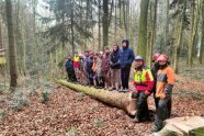 Mehrere Personen auf Baumstamm im Wald