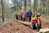 Mehrere Personen auf Baumstamm im Wald