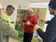 3 Personen halten Zweige