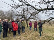 Personen stehen auf einer Wiese unter kahlen Ästen eines Baums