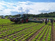 Am Heck befindet sich das Anbaugerät mit einer Arbeitsbreite von bis zu 12 m. 