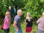 Der Teilnehmerkreis lacht während dem Schneiden eines Zwetschgenbaumes