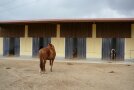 Befestigter Auslauf mit breiten Zugängen zum Liegebereich