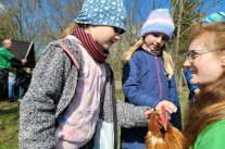 Huhn Streicheln
