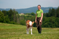 Frau steht mit Kalb auf Wiese 